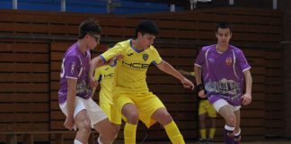 ¡Comienza el espectáculo!